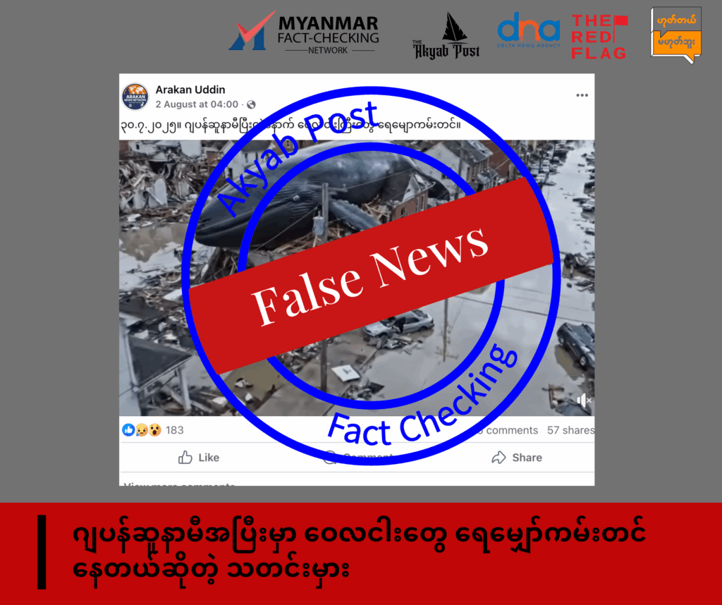 ဂျပန်ဆူနာမီအပြီးမှာ ဝေလငါးတွေ ရေမျှော်ကမ်းတင်နေတယ်ဆိုတဲ့ သတင်းမှား